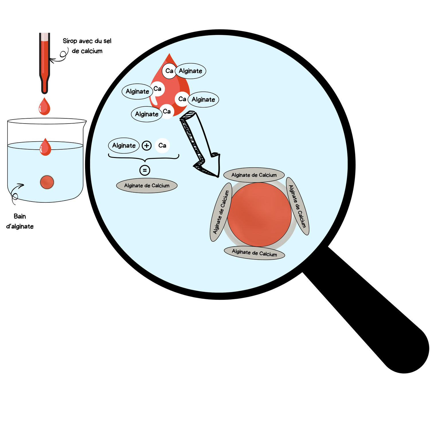 Sphérification inversée